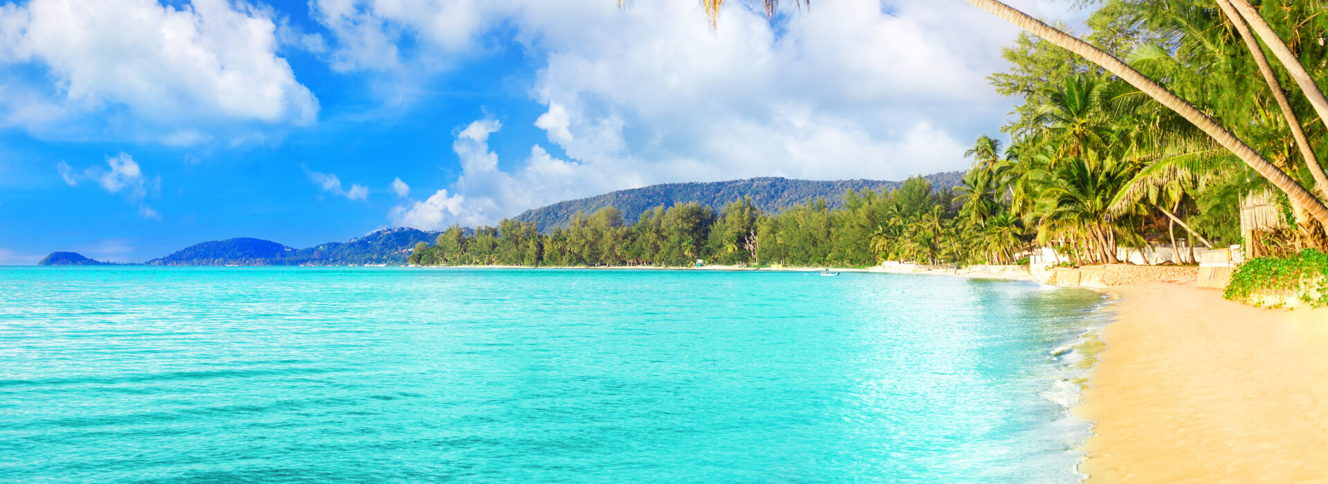  Jamaica Spa Services